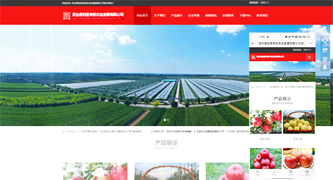 企業(yè)網(wǎng)站、程序軟件App解決方案